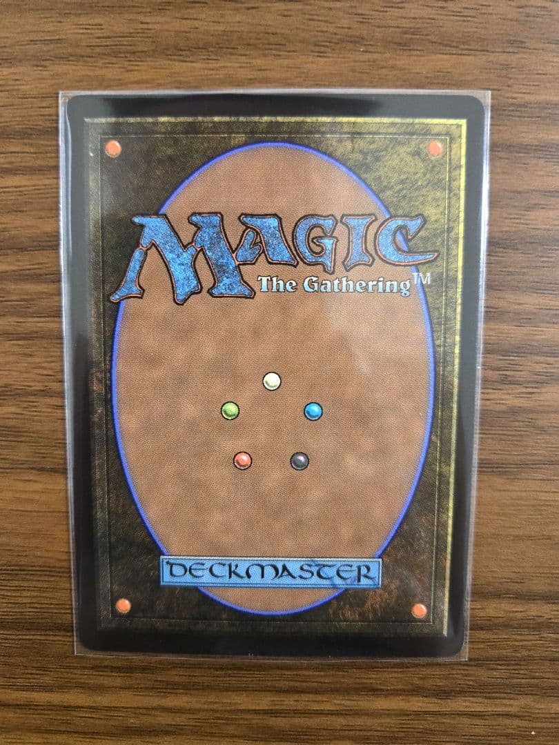 ラスト一枚【新品未使用】アナグマモグラの仔　日本語　アバター　伝説の少年アン