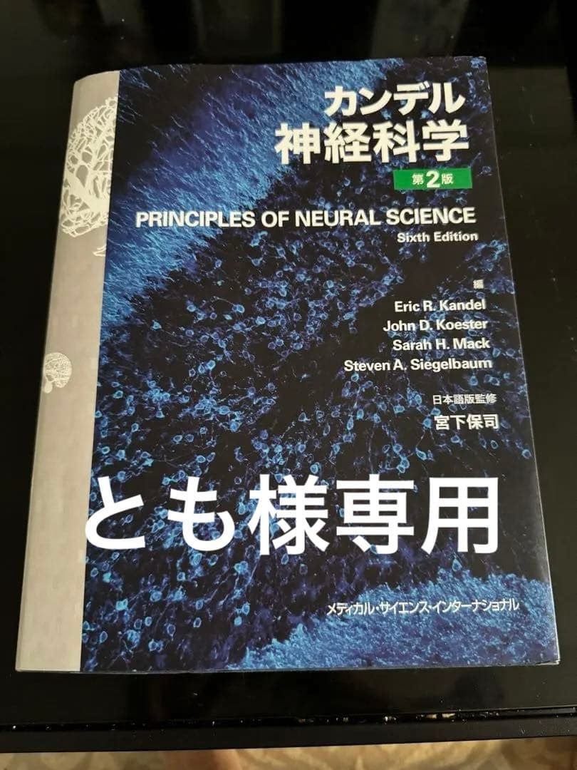 裁断済】カンデル神経科学 日本語版第2版 Sixth Edition