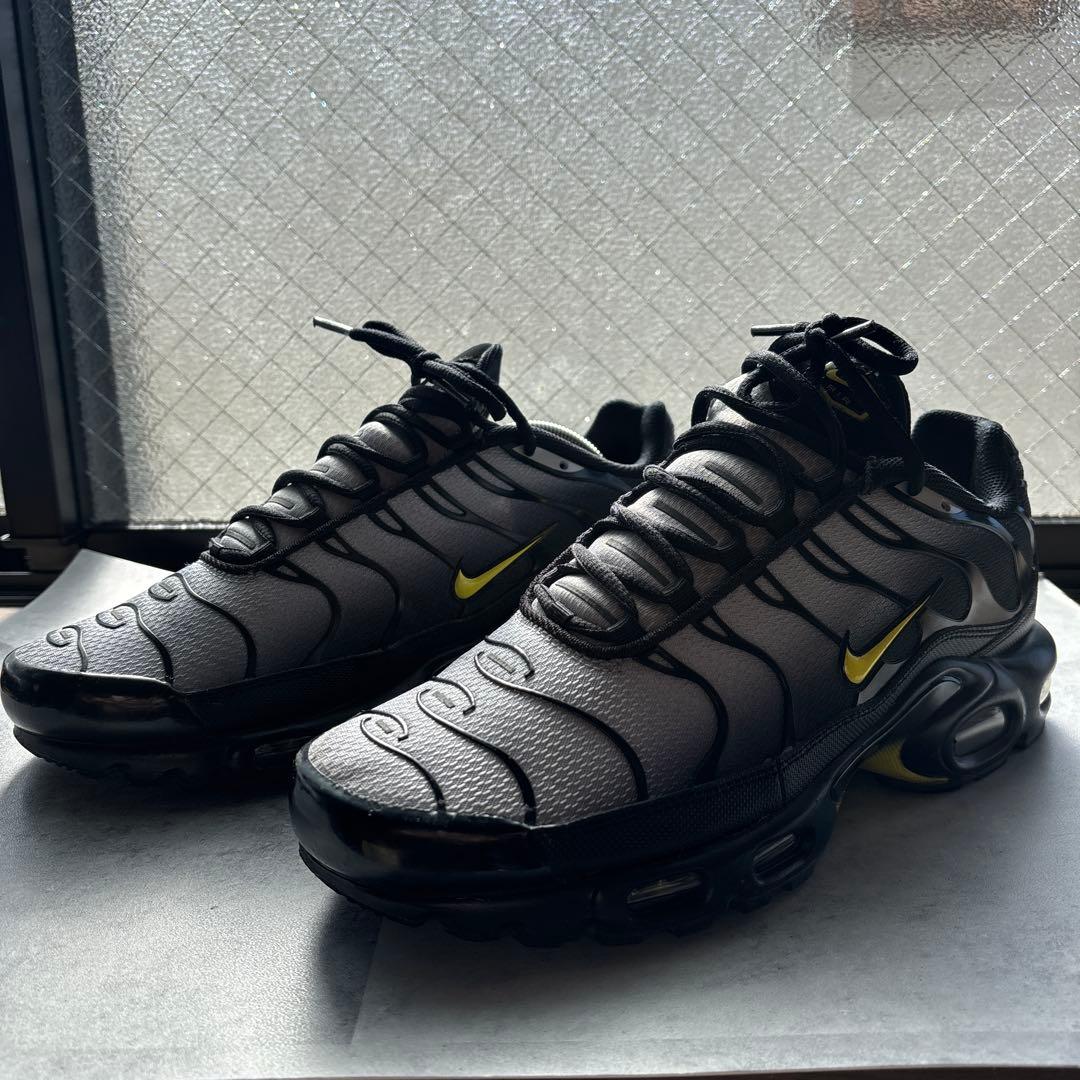 ナイキ　スニーカー　エアマックス　プラス　ウルフグレー　美中古　テック系 ナイキ スニーカー エアマックス プラス ウルフグレー 美中古 テック系