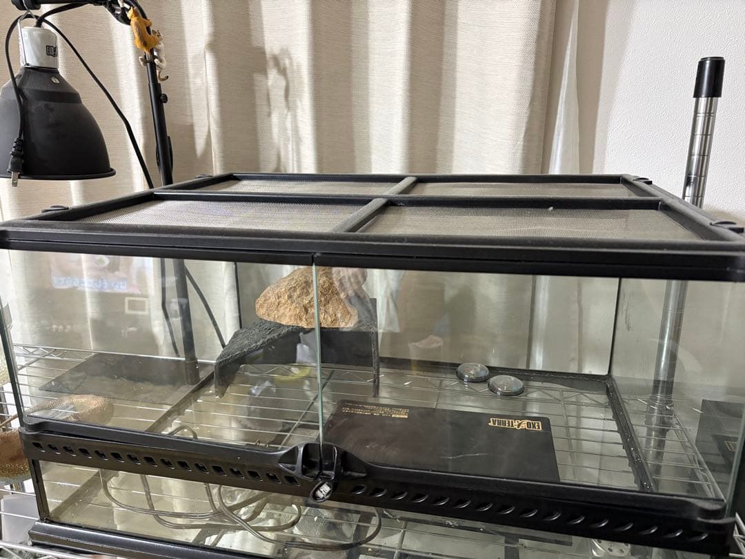 爬虫類飼育フルセットまとめ売り【引き取り限定神戸市灘区】 爬虫類飼育フルセットまとめ売り【引き取り限定神戸市灘区】 爬虫類