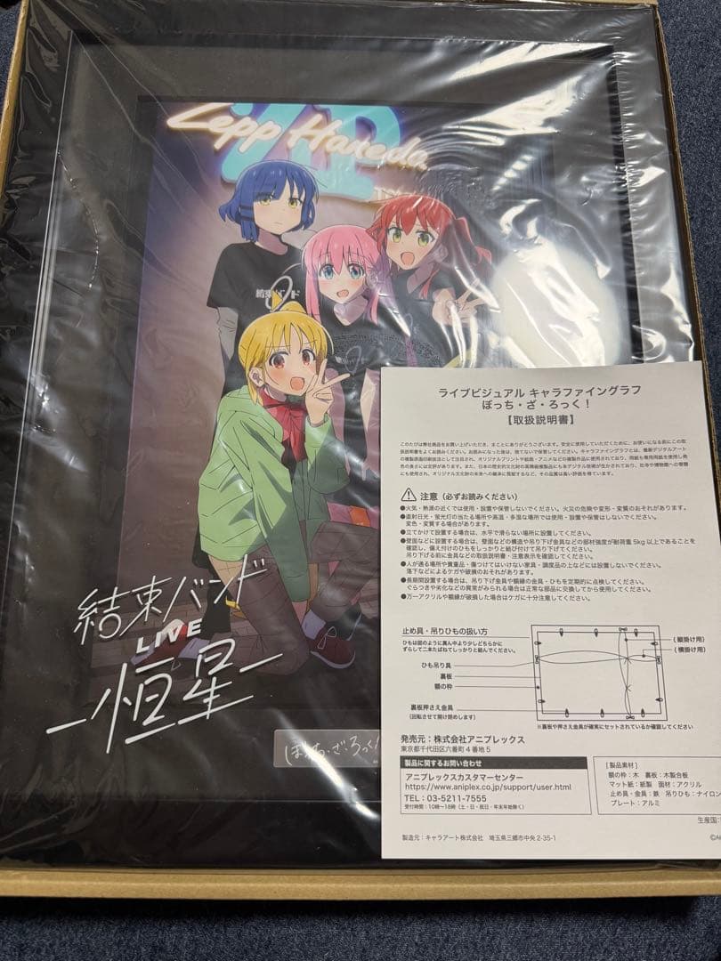 ぼっち・ざ・ろっく! 結束バンドLIVE -恒星-キャラファイングラフ (A4)