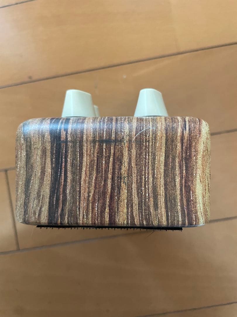 ギター L.R.Baggs ALIGN Series SESSION