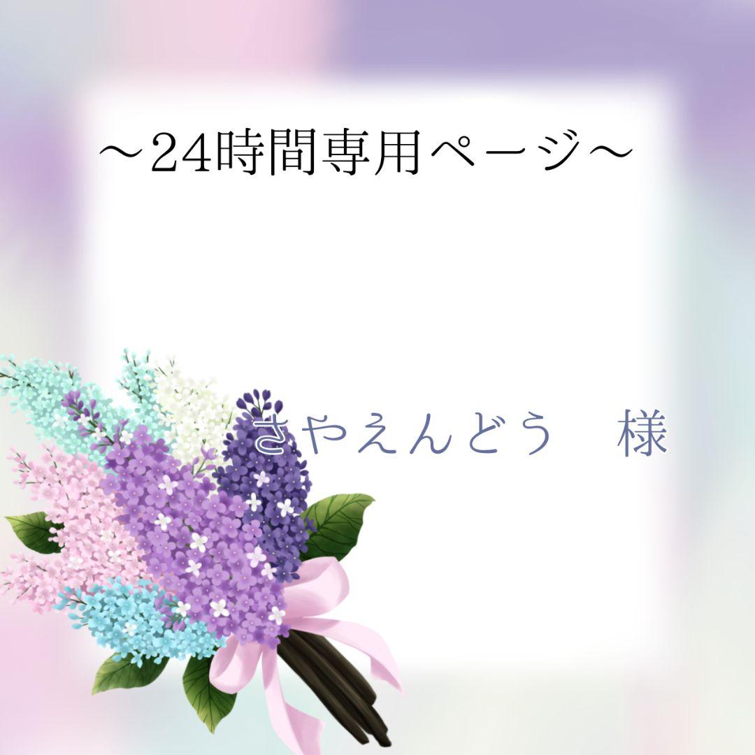 さやえんどうページ 楽天市場】サカタのタネ サヤエンドウ 莢豌豆 さやえんどう ビッグ