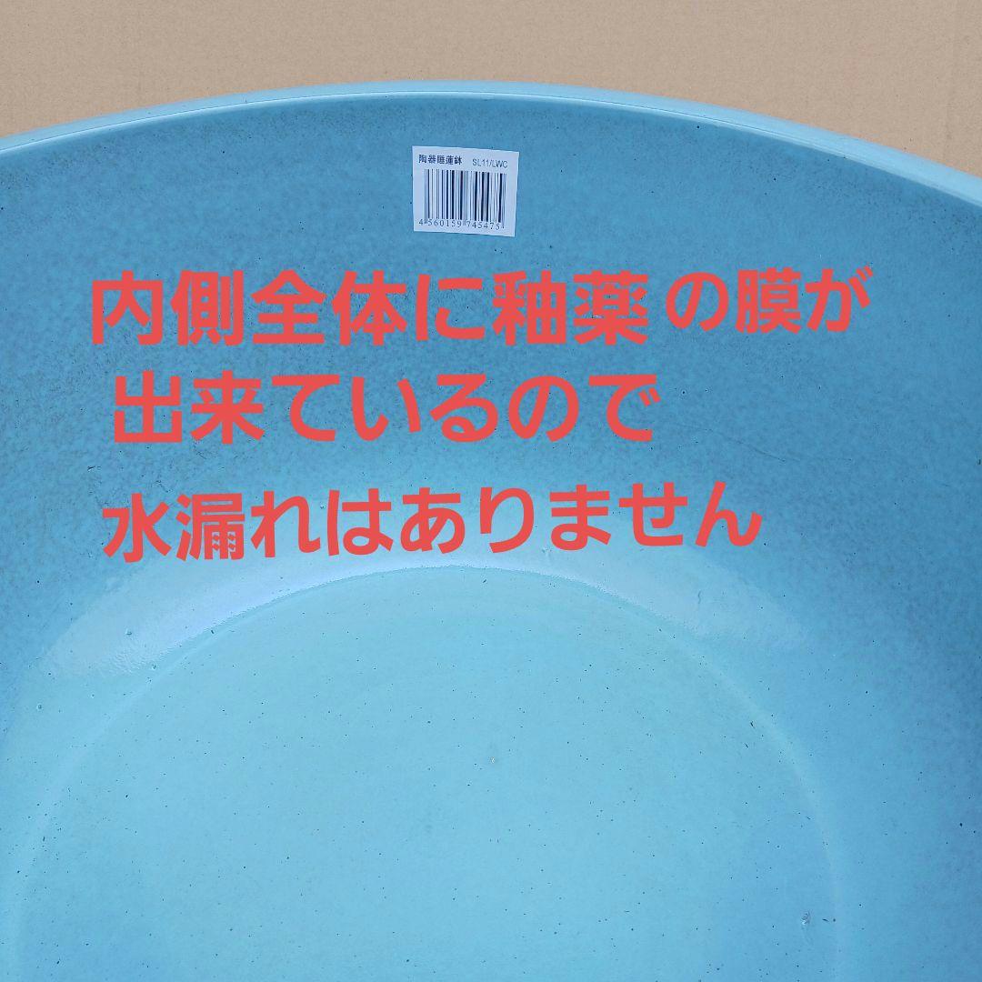 新品 特大52x49 陶器 睡蓮鉢 難有 メダカ鉢 水色 ブルー ルーバーLWC