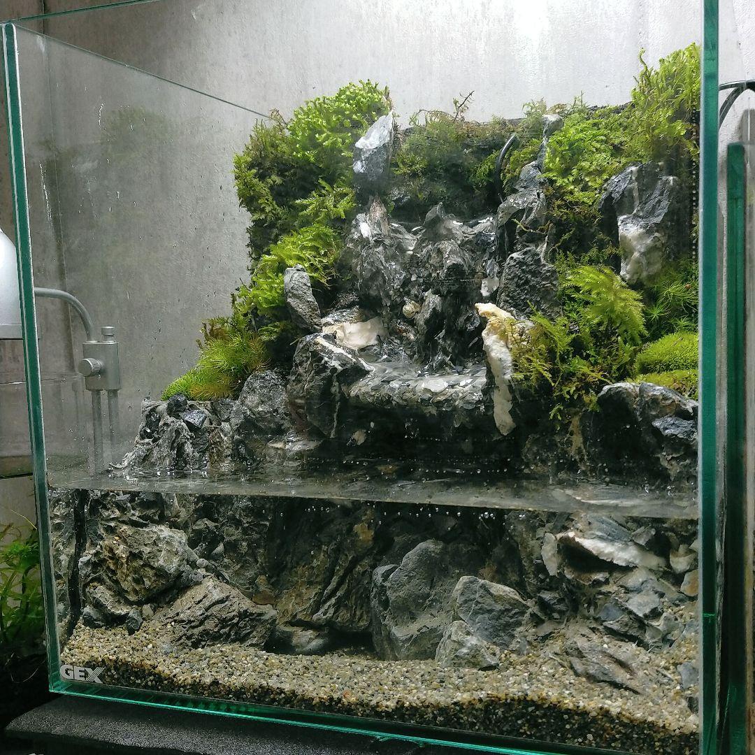 滝と霧の流れるアクアテラリウム イモリウム maki様専用 - メルカリ