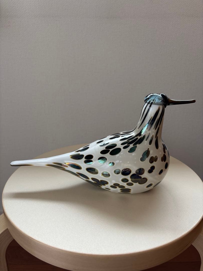 イッタラバード Spotted Sandpiper SSKK 2006 傷あり