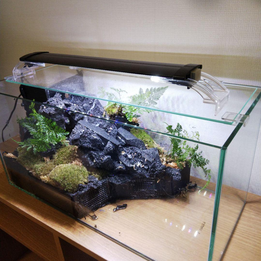 受注生産】滝の流れるアクアテラリウム イモリウム 苔 水槽 苔