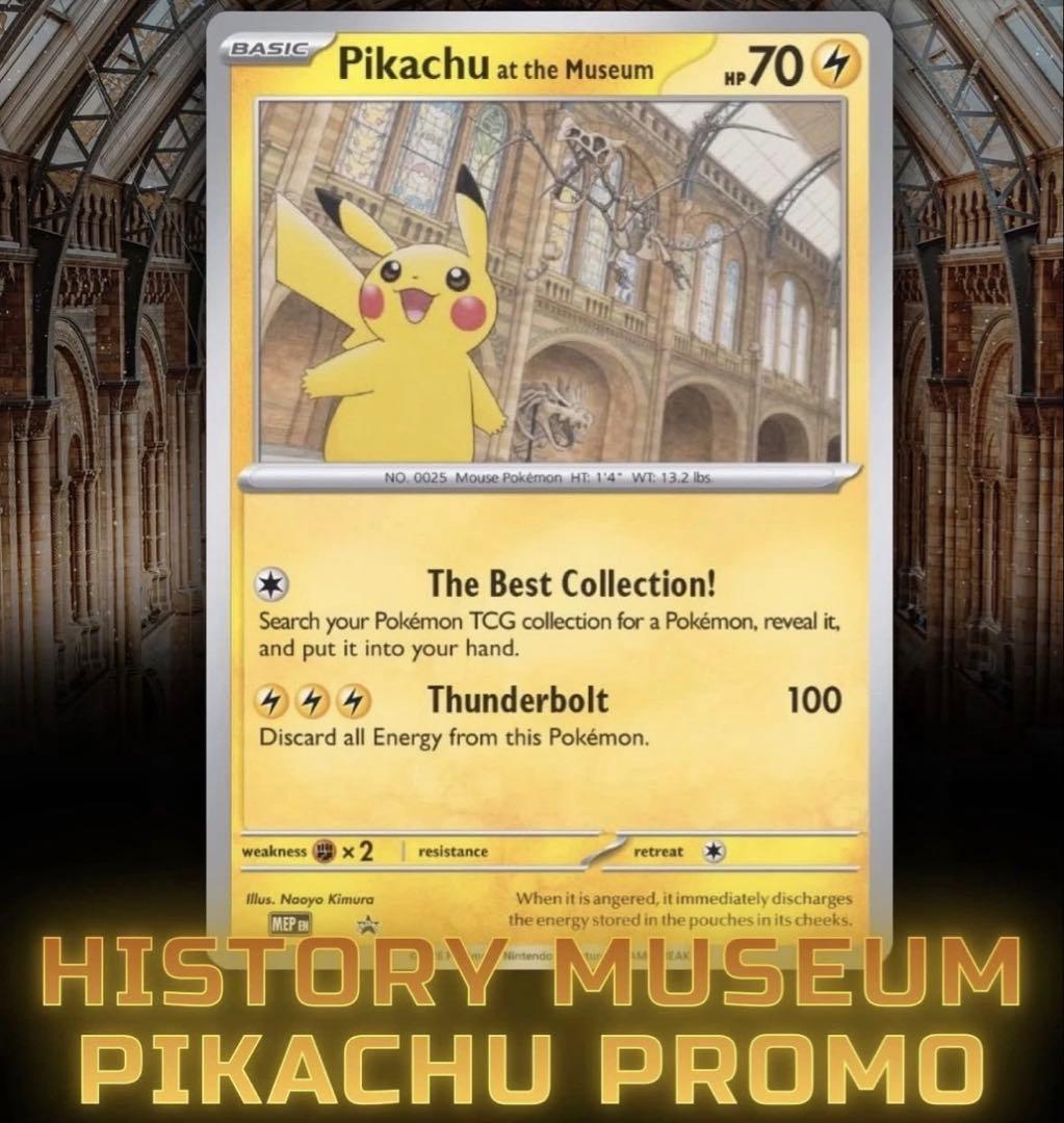Pikachu at the Museum ピカチュウ ロンドン自然史博物館⑦
