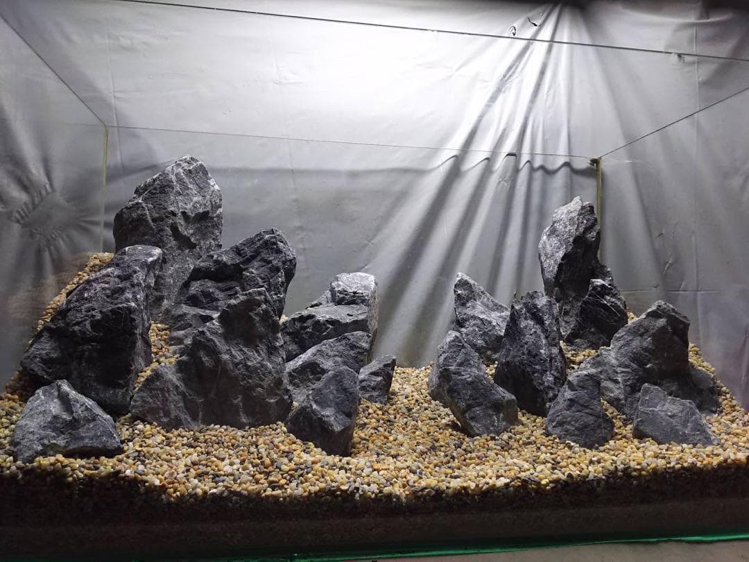 1[新品 親石付]清流石20キロ☆水槽 レイアウト 青龍石 龍王石 石組 万