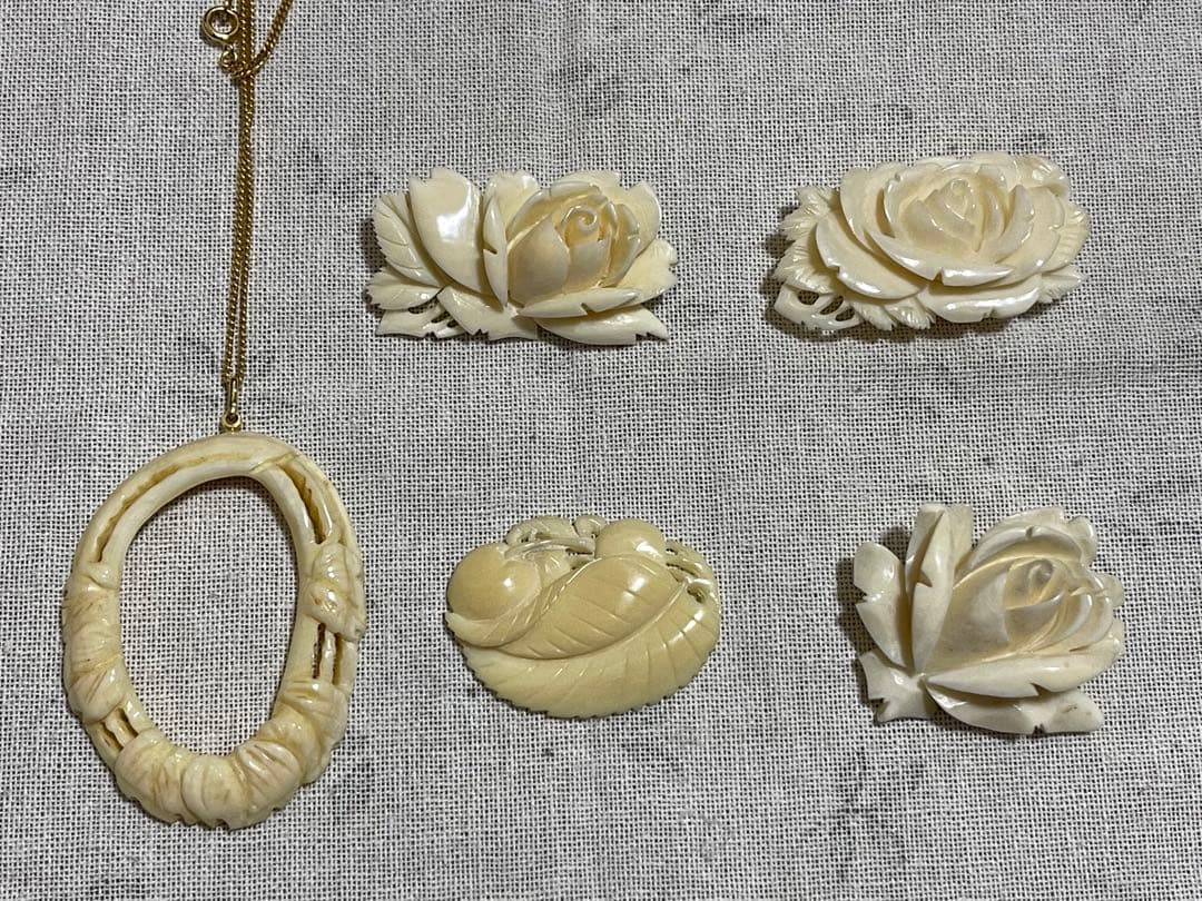 鯨の歯 クジラ 5点まとめ売り 鯨の歯 クジラ 5点まとめ売り クジラを学ぼう！】第2回 クジラの種類