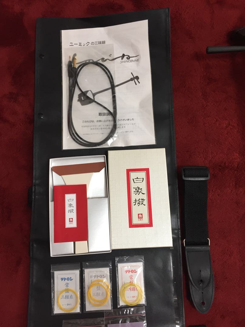 エレキ三味線 サイレント 三味線 しのびね セット - メルカリ