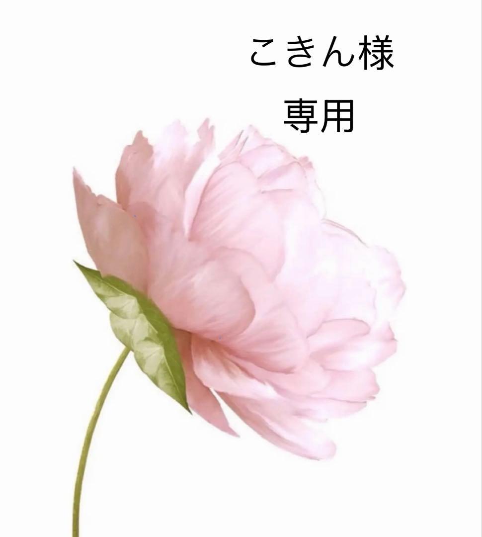 こきん こきん (@kokin58149915) / Posts / X