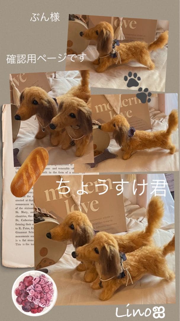 ஐ羊毛フェルト ぶん様 ੯•`໒ Mダックス オーダー専用ページ