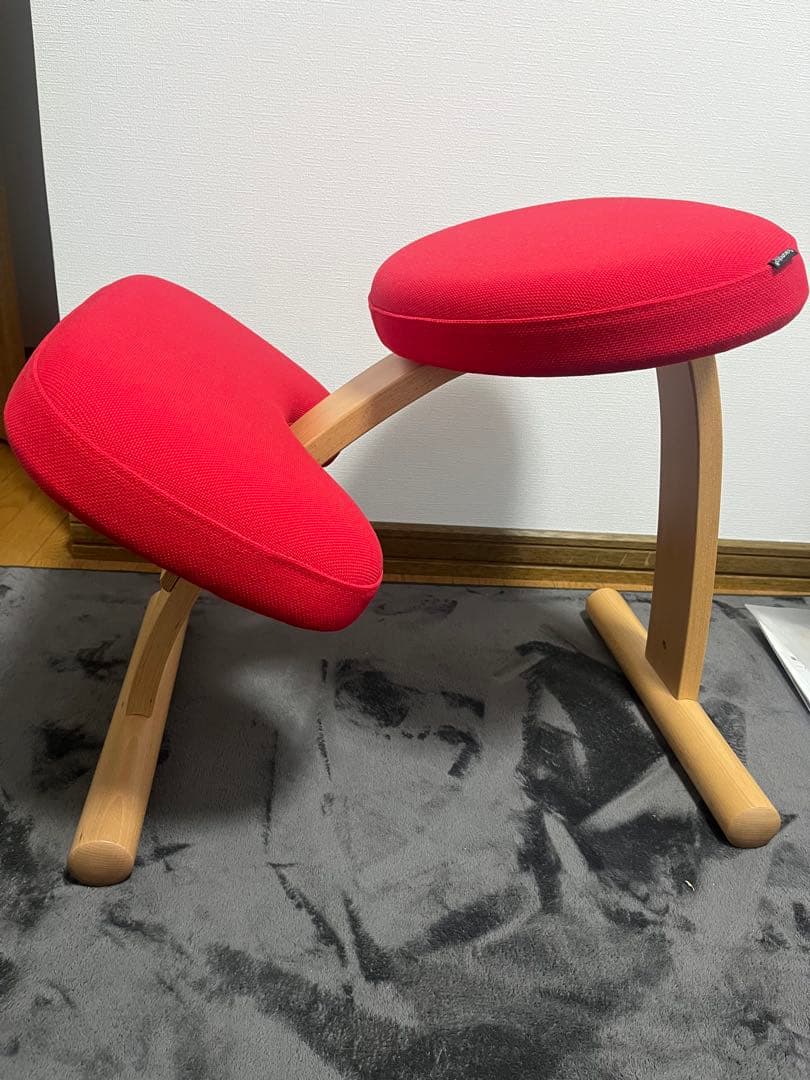 バランスラボ、サカモトハウス　バランスチェア　バランスイージー　カバー付き バランスラボ バランスチェア バランスチェアー バランスイージー