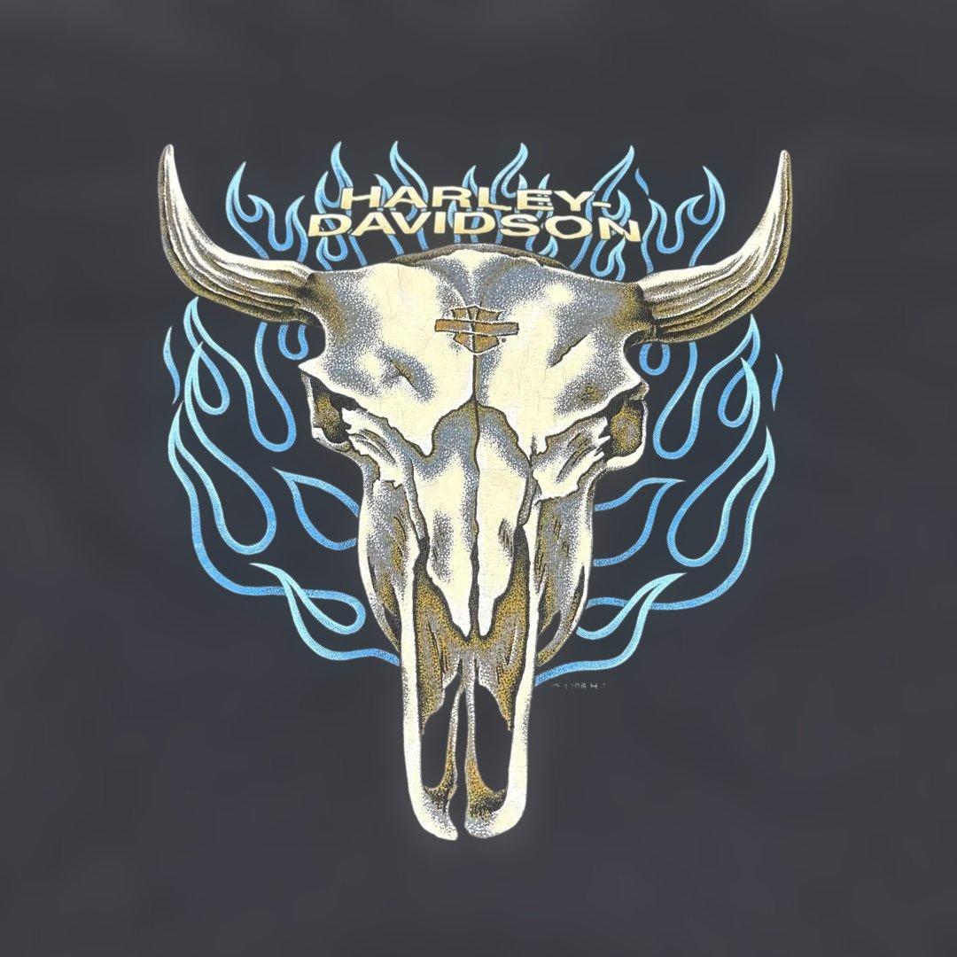 harley davidson バッファロースカル　90s ブルーフレイム harley davidson バッファロースカル 90s ブルーフレイム - メルカリ