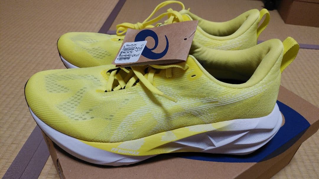 ASICS　ノヴァブラスト５　 27.5㎝　新品、未使用 ノヴァブラスト5 27.5」の人気商品一覧 | 安い商品を通販サイトから