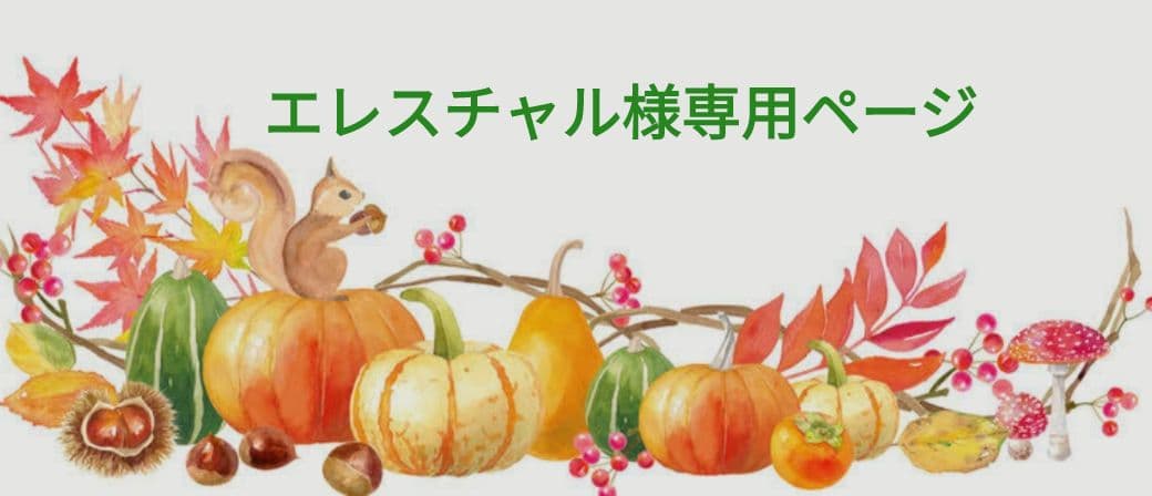 エレスチャルページ エレスチャルアメジスト- 通販｜宝石鑑定士が運営【カラッツSTORE】