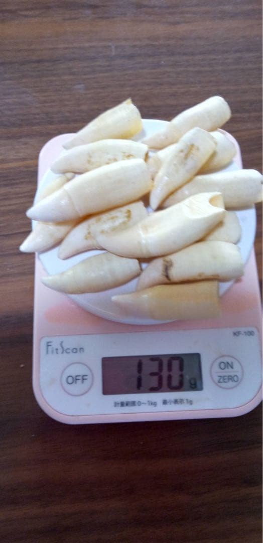 k*l様 ⭐︎激レア⭐︎希少⭐︎シャチの歯 骨董品 - メルカリ