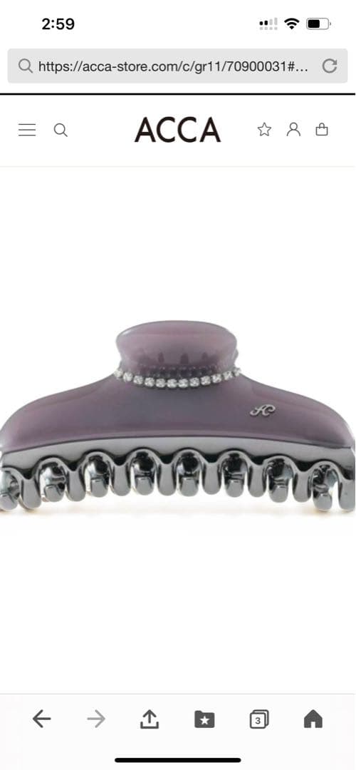 ACCA クリップヘアアクセサリー　試着のみ 2025年のスタートにふさわしい。ヘアクリップで新しい私を | acca