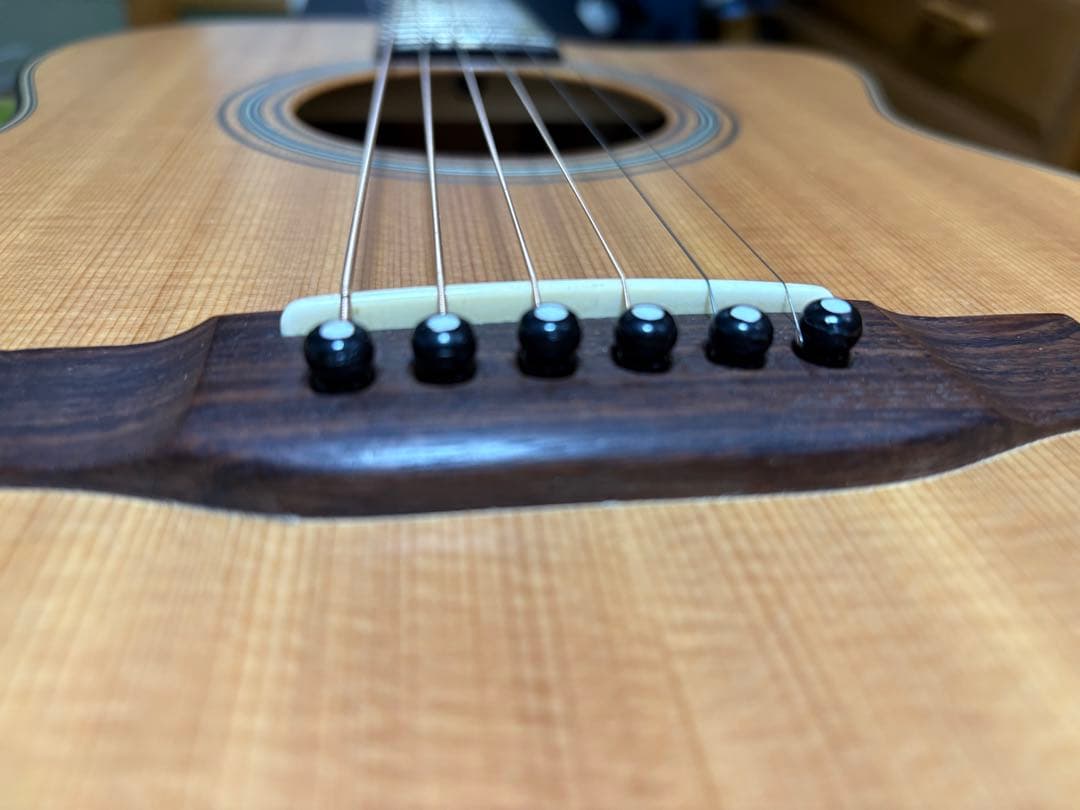 Asturias Solo Standard 国産 最終値下げ