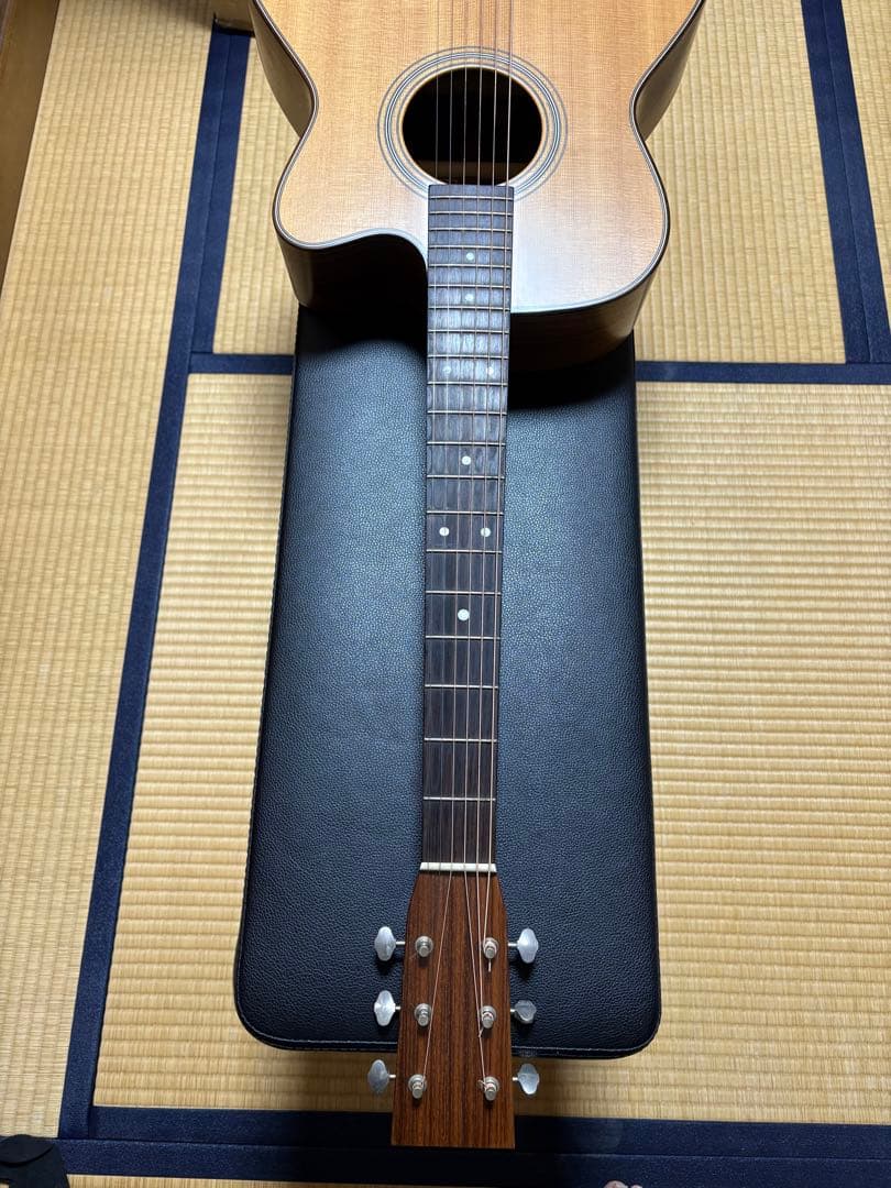 Asturias Solo Standard 国産 最終値下げ