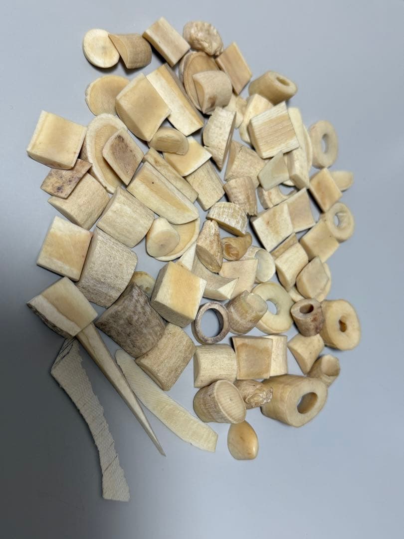 鯨歯マッコウクジラの歯 さまざまな形状。形状 さまざまな形状 重量：233g 種類によって特徴は様々？ハクジラの歯 | 札幌駅北口すぐの歯医者