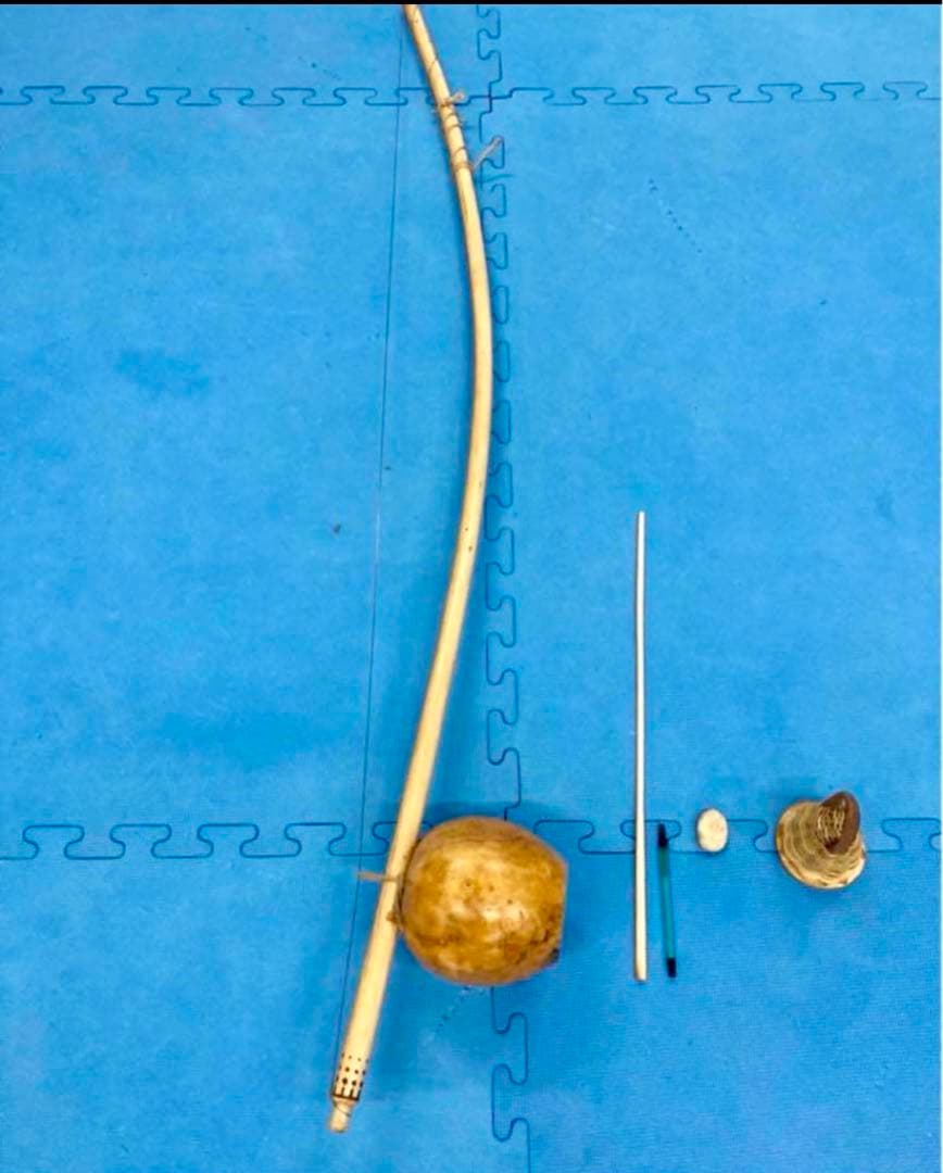 大人用ビリンバウ カポエイラ 民族楽器 - メルカリ