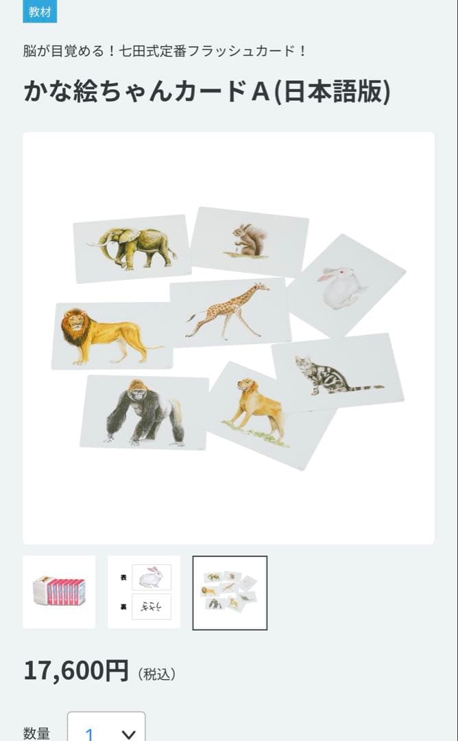 かな絵ちゃん　Aセット