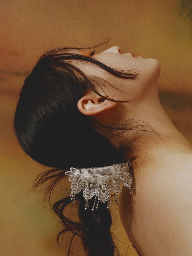 【最終値下げ】tanakadaisuke/ bijou barrette