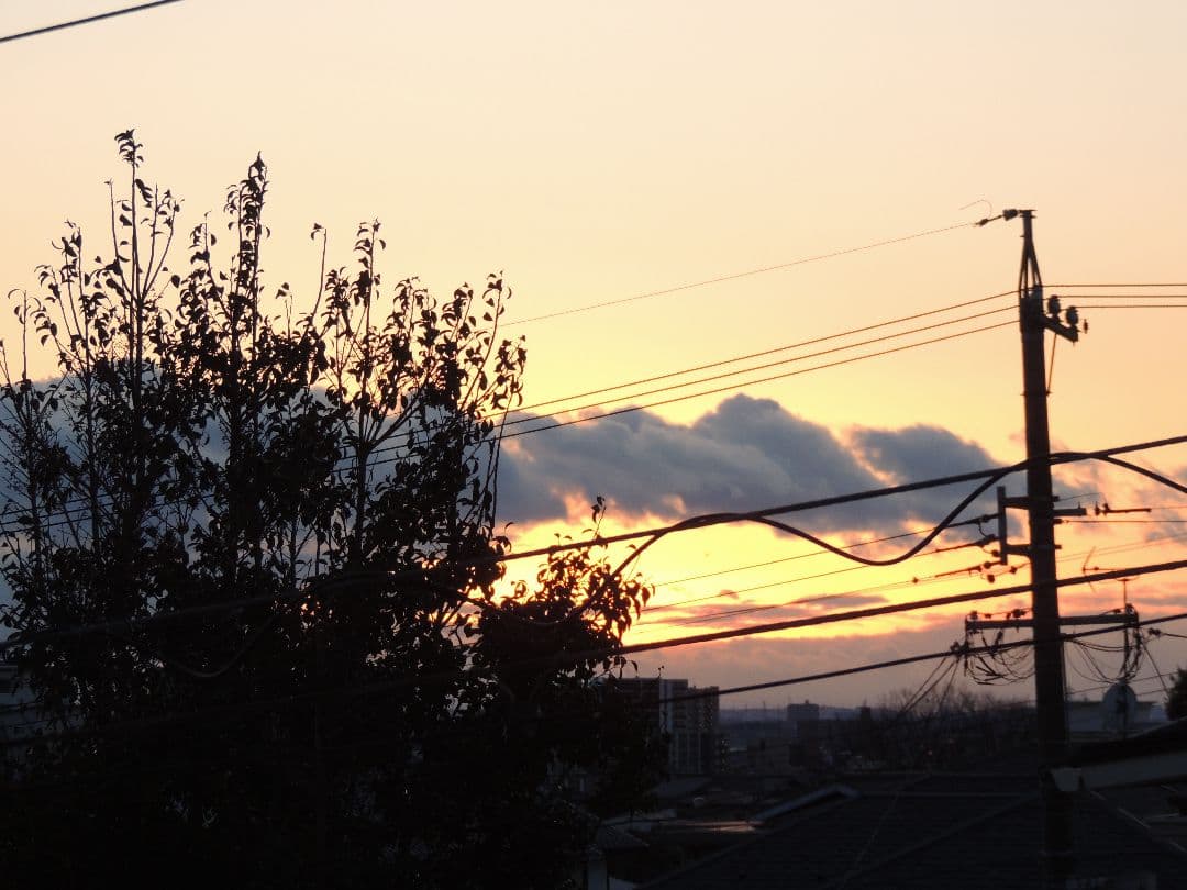 動作品】光学42倍 Nikon COOLPIX P510 元箱、バッテリー3個 - メルカリ