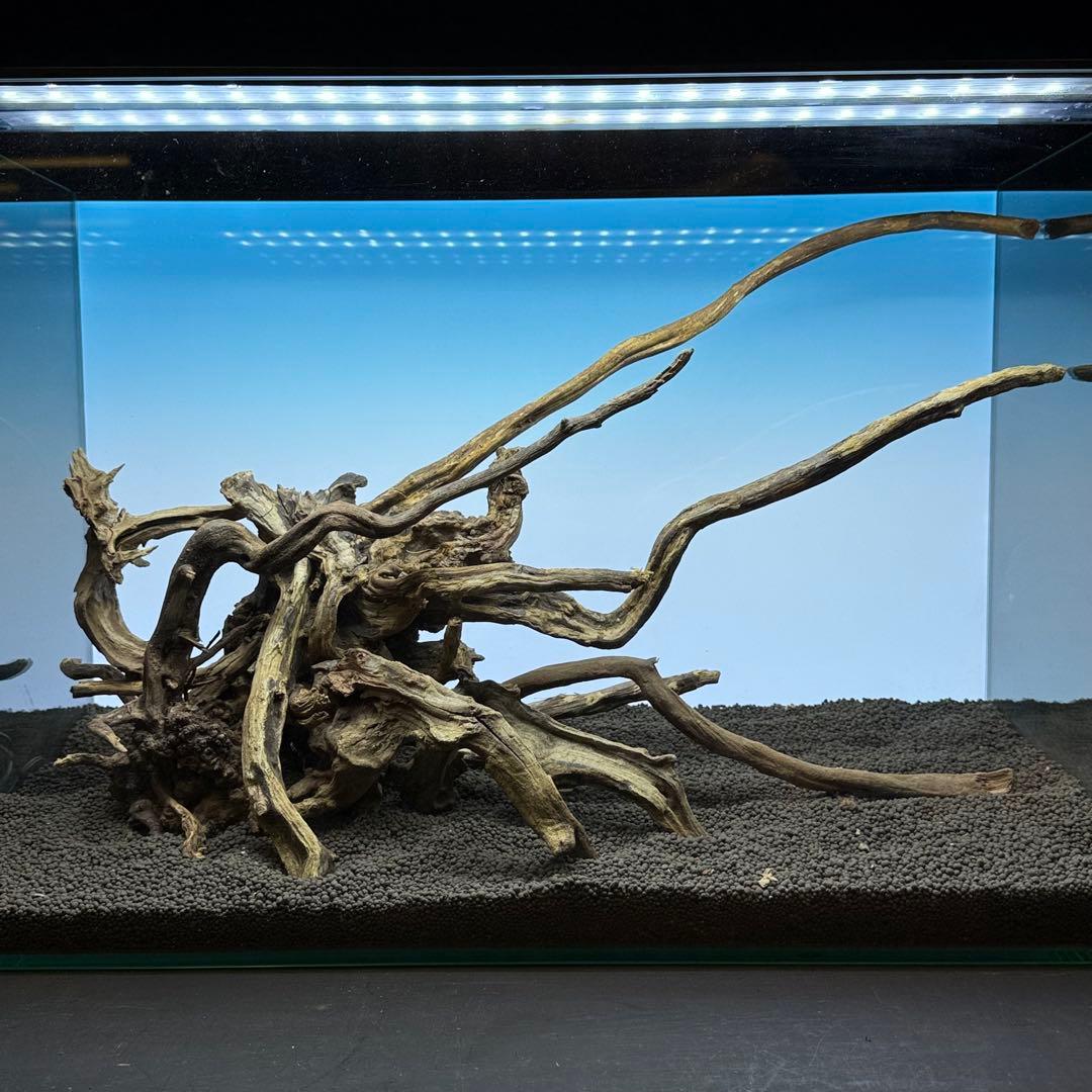MSRW-7175スリムウッドレイアウトセット　60cm水槽用流木　アクアリウム MSRW-6048スリムウッドレイアウトセット 60cm水槽用流木｜Yahoo!フリマ