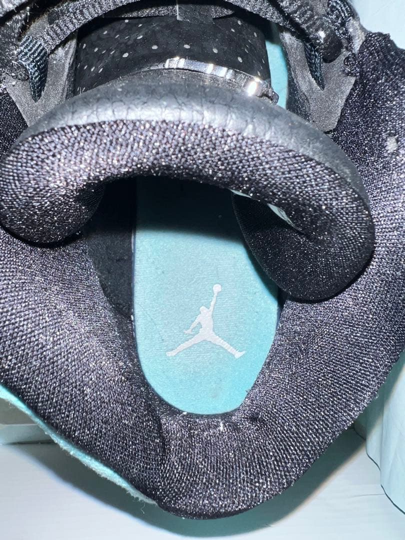 シューズ(男性用) Air Jordan 13  Green 29.5cm