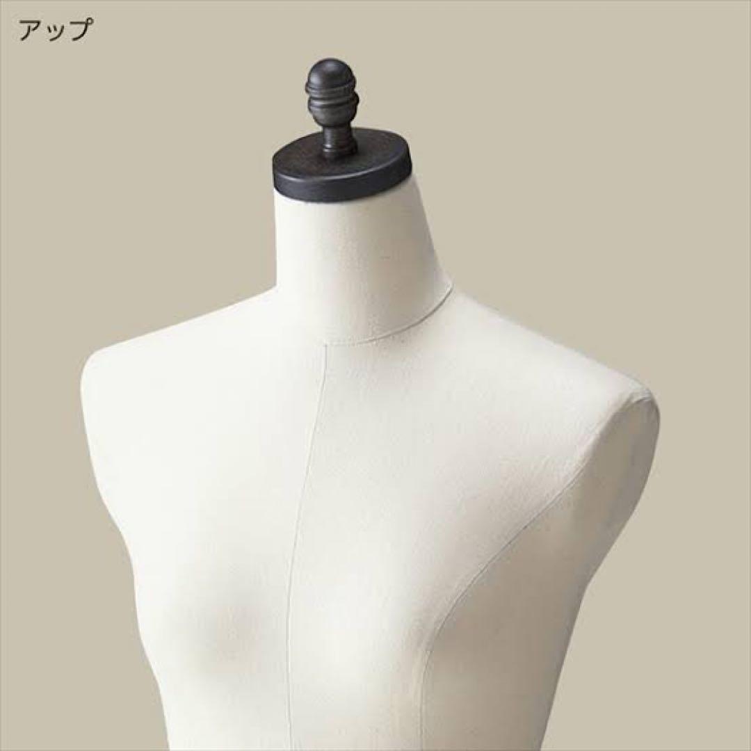 レディーストルソー カツラギ張