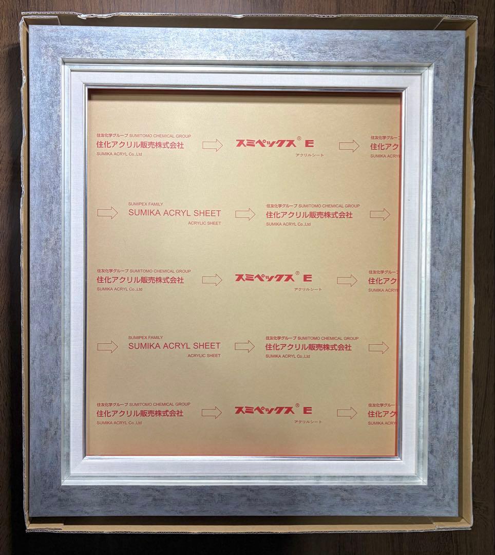 24時最終価格！新品 高級イタリアモールディング油彩額 F10号 8111 ゴールド F10号 530×455mm アクリル板付き油彩額縁 - 額縁 - 激安