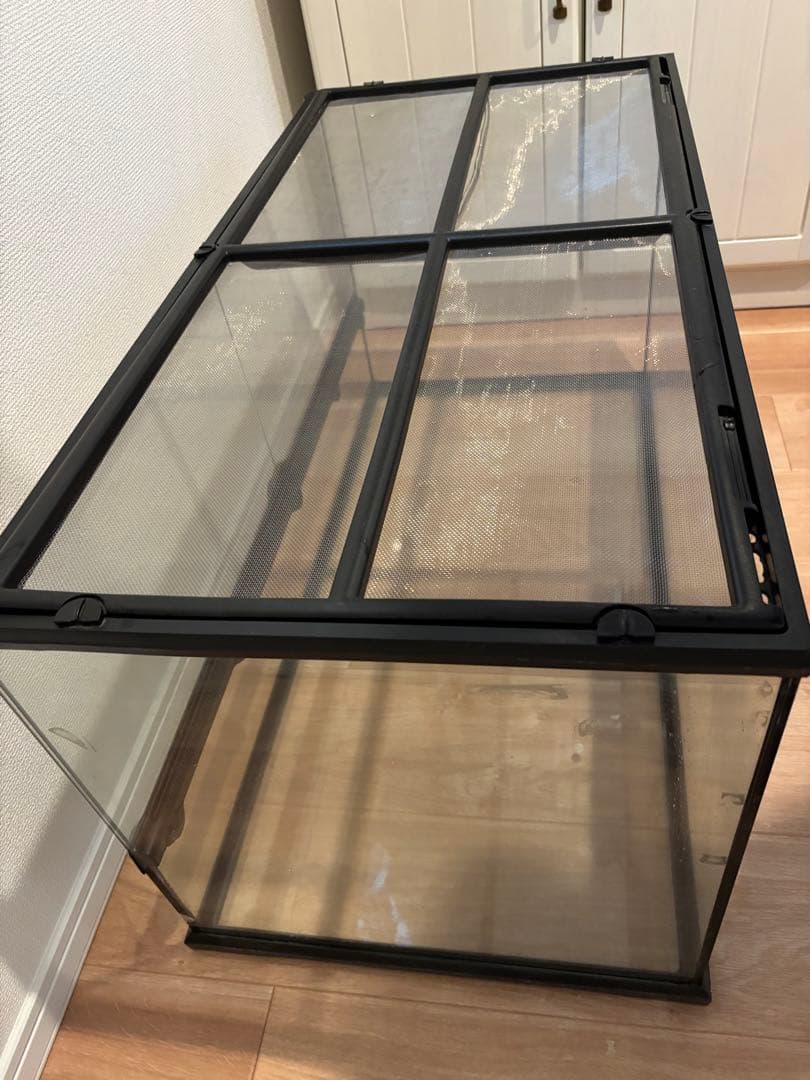 エキゾテラ グラステラリウム9045 おまけもあります