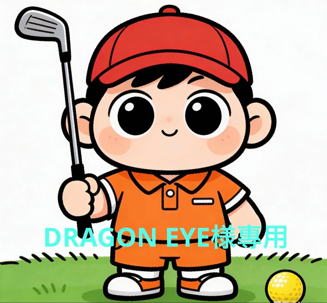 DRAGON EYE The information center of 