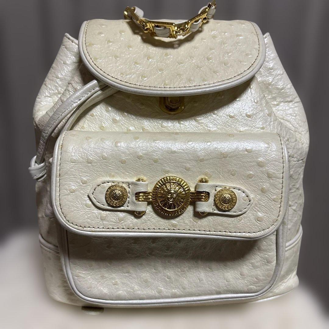 GIANNIVERSACE リュック エースジーン ace.GENE リュックサック バックパック ガジェタブルWR2