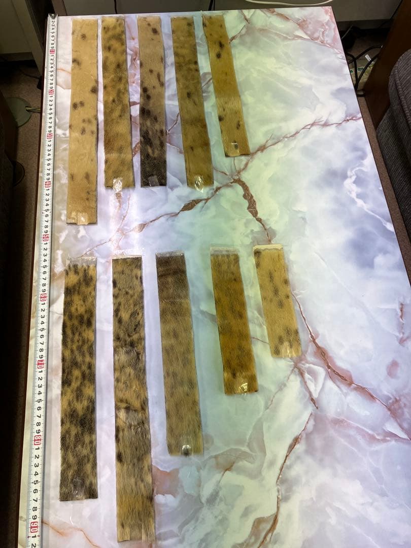 山スキーシール10点セット（接着剤は付いていません） 山岳スキー 選手たちがスキーに装着している「シール」とは？