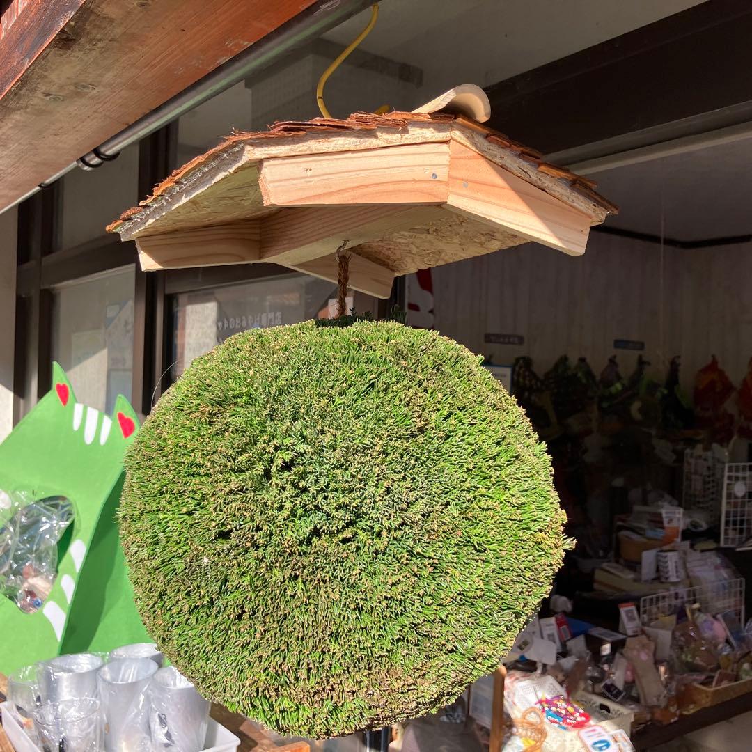 杉玉【屋根付き】③ - メルカリ