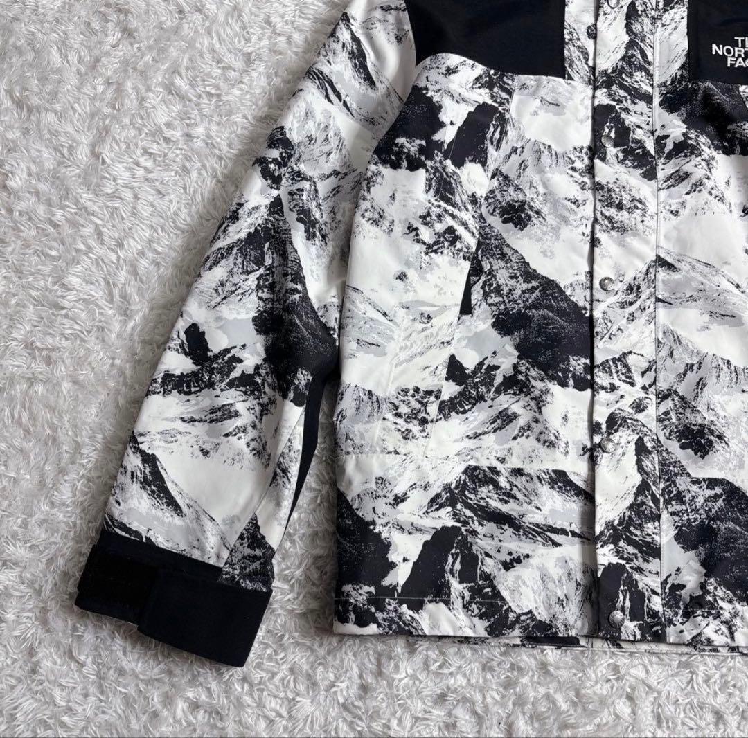 美品】ザノースフェイス マウンテンパーカー NJ2GN60B ゴアテックス M