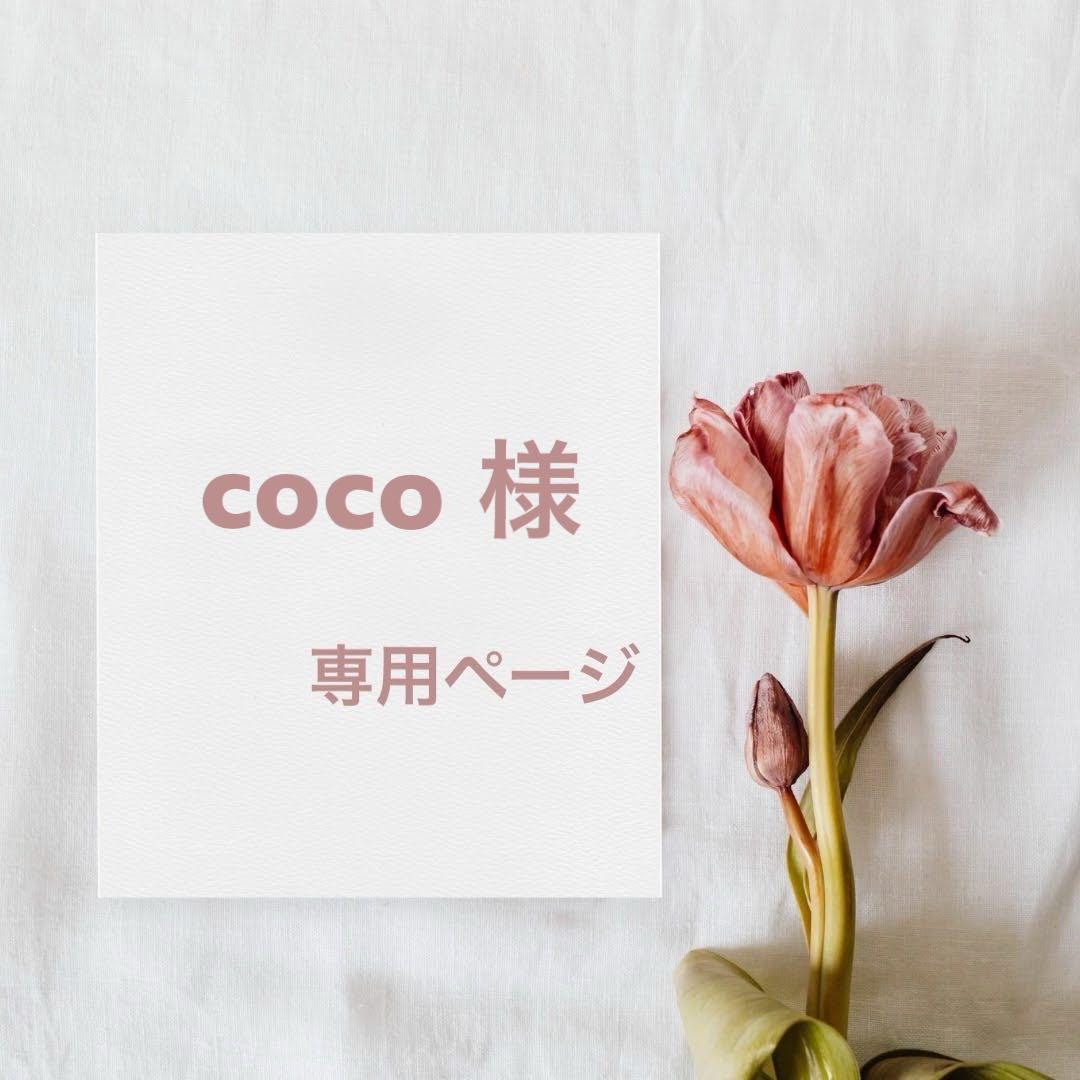 coco ページ Amazon.com : Coco Bliss Coco Coir Bricks (250gm Bricks, 70-Pack
