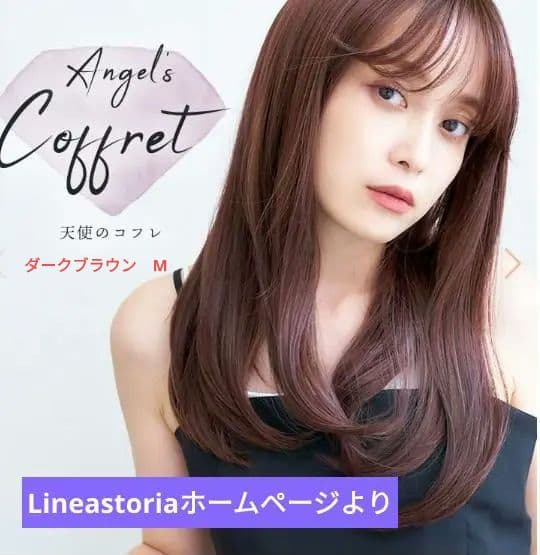リネアストリア 天使のコフレ ダークブラウン M ロングウィッグ 1110248.jpg