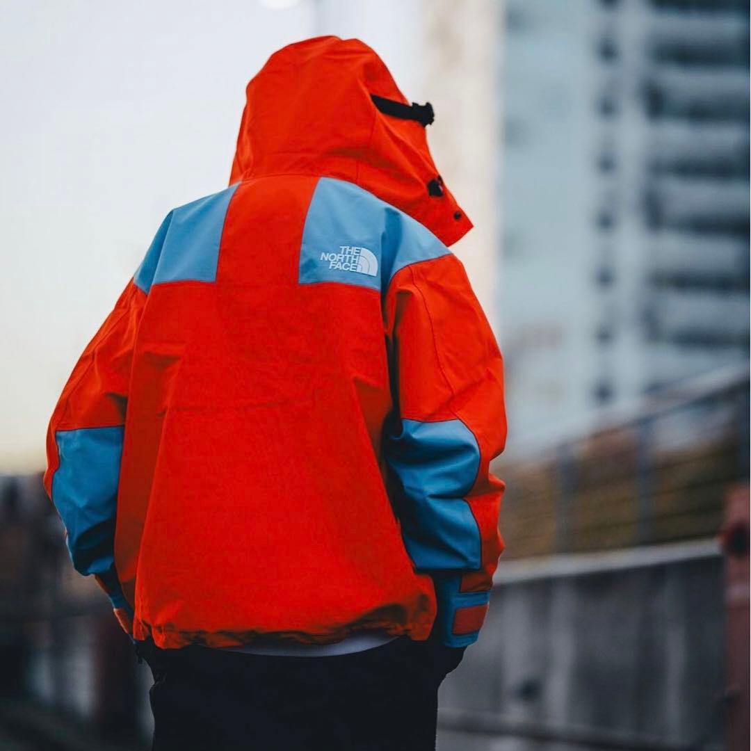 ノースフェイス直営店限定 トランスアンタークティカ マウンテン