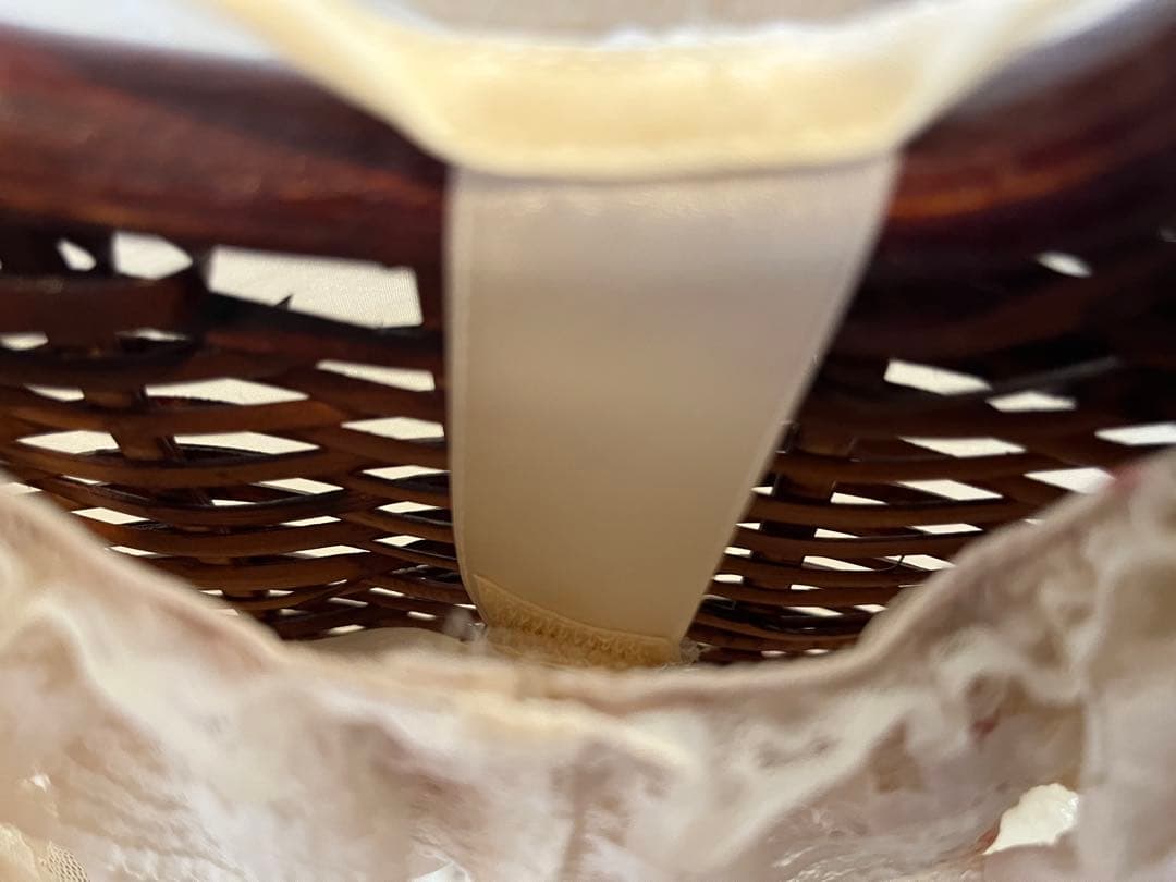 ちーたんでございます。さえら　アキアカネ　難あり(未使用) 大きなカゴ