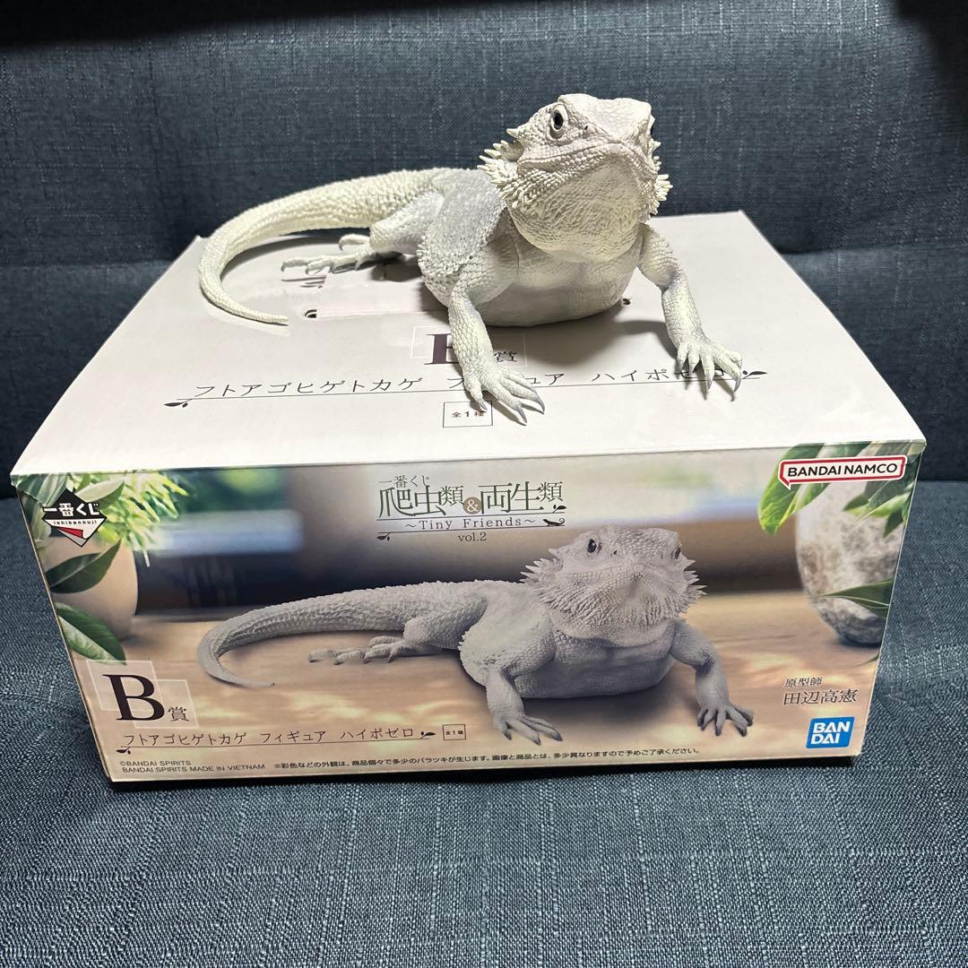一番くじ 爬虫類 両生類 B賞 フトアゴヒゲトカゲ フィギュア