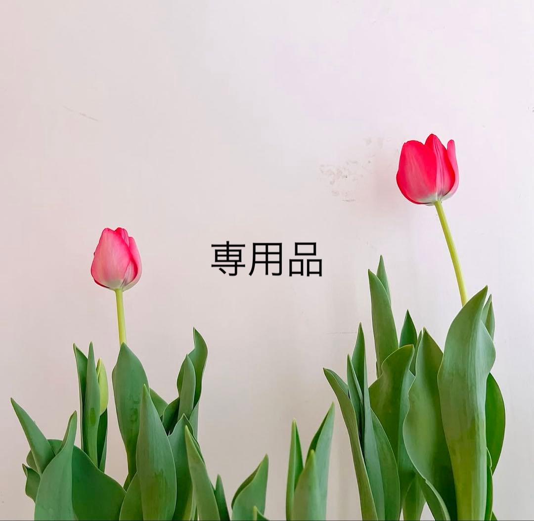 ttt19品　VOS３点セット ×2セット TS-58 工具セット 複合品 セット 58pcs.工具セット｜株式会社 三共