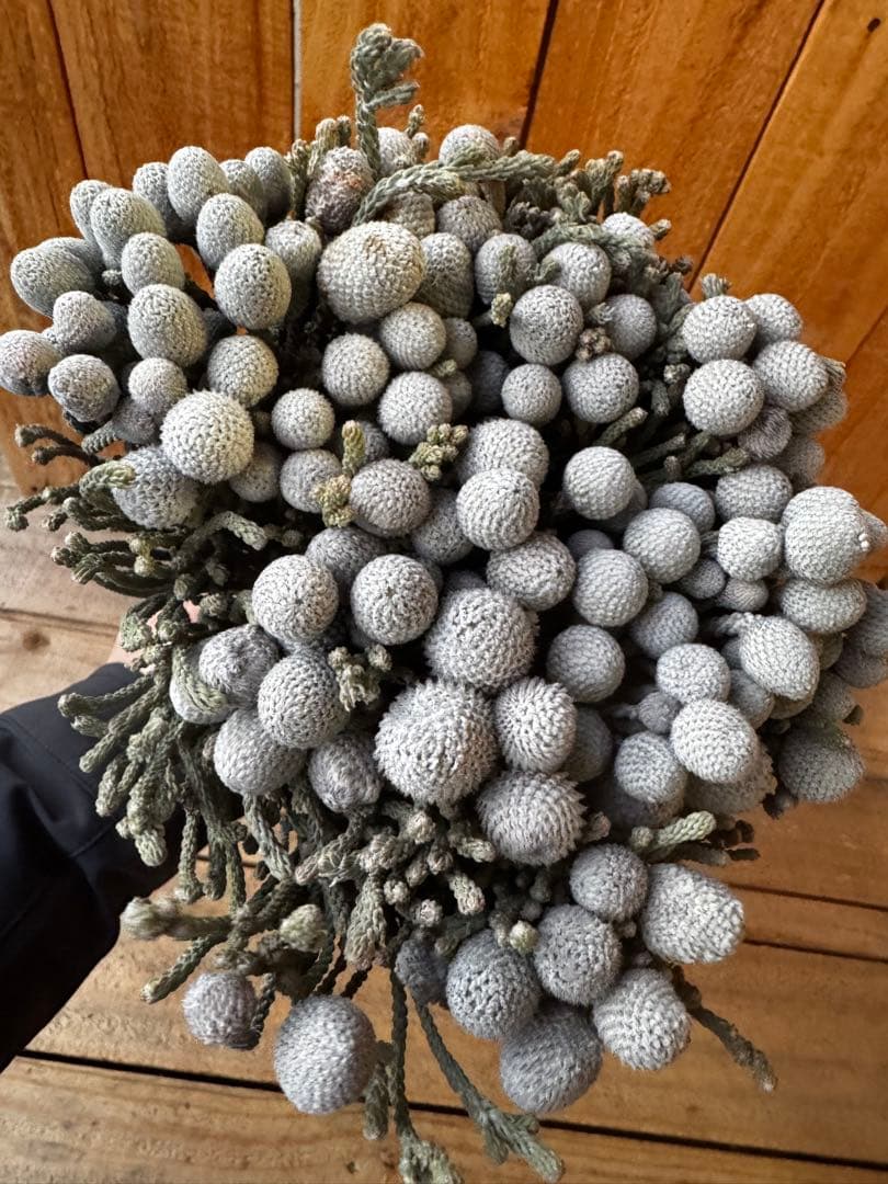 kumi様 リクエスト 3点 まとめ商品 きなこ様 リクエスト 3点 まとめ商品 - メルカリ