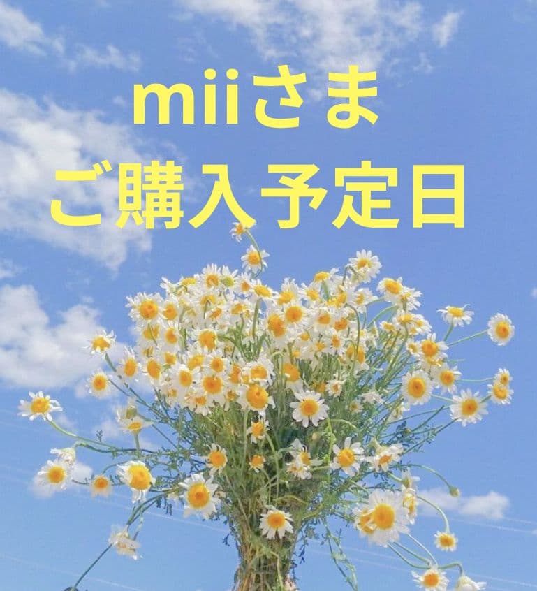 【新品】MIKI HOUSE ベビー服セット（ドレス・シャツ・タイツ） 70-100cm】 おしりフリル 9分丈ベビースパッツ / MIKI HOUSE HOT