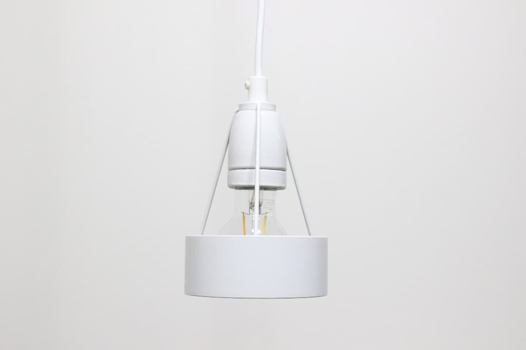 ルイスポールセン Pakhus パークフース ペンダントライト ランプ 北欧 2 Pakhus(パークフース)[タブルーム]