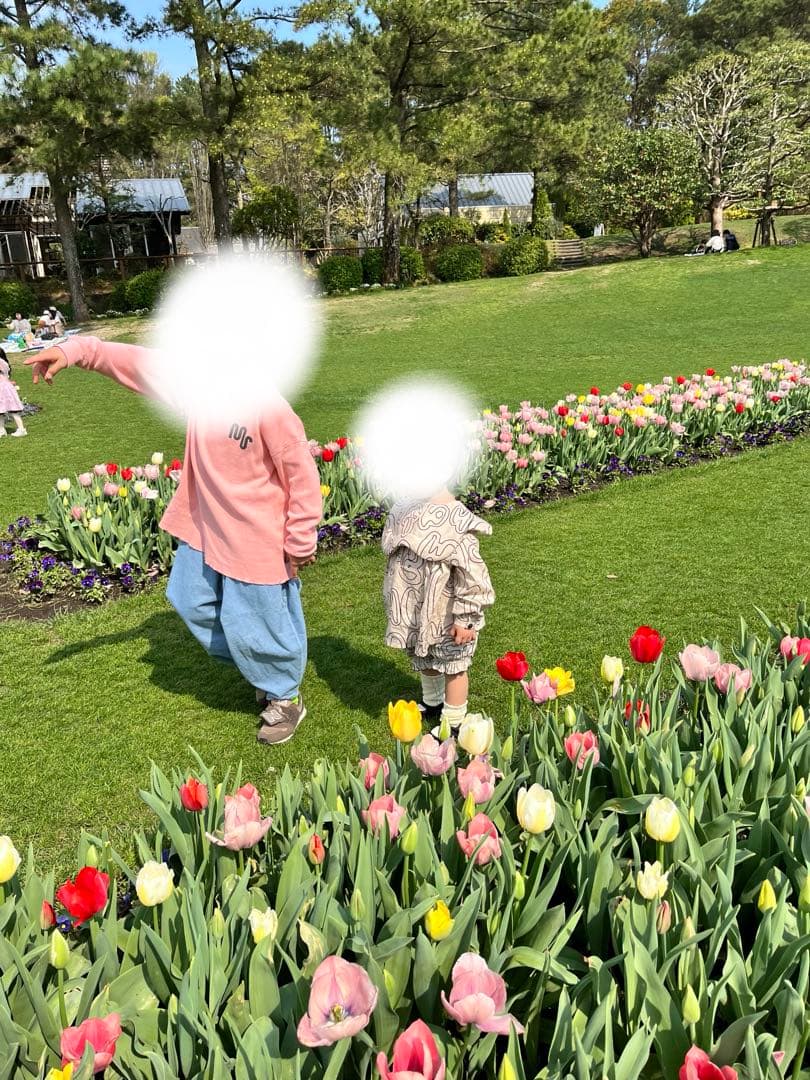 値下 frankygrow フランキーグロウ シャツM 100 110 - メルカリ